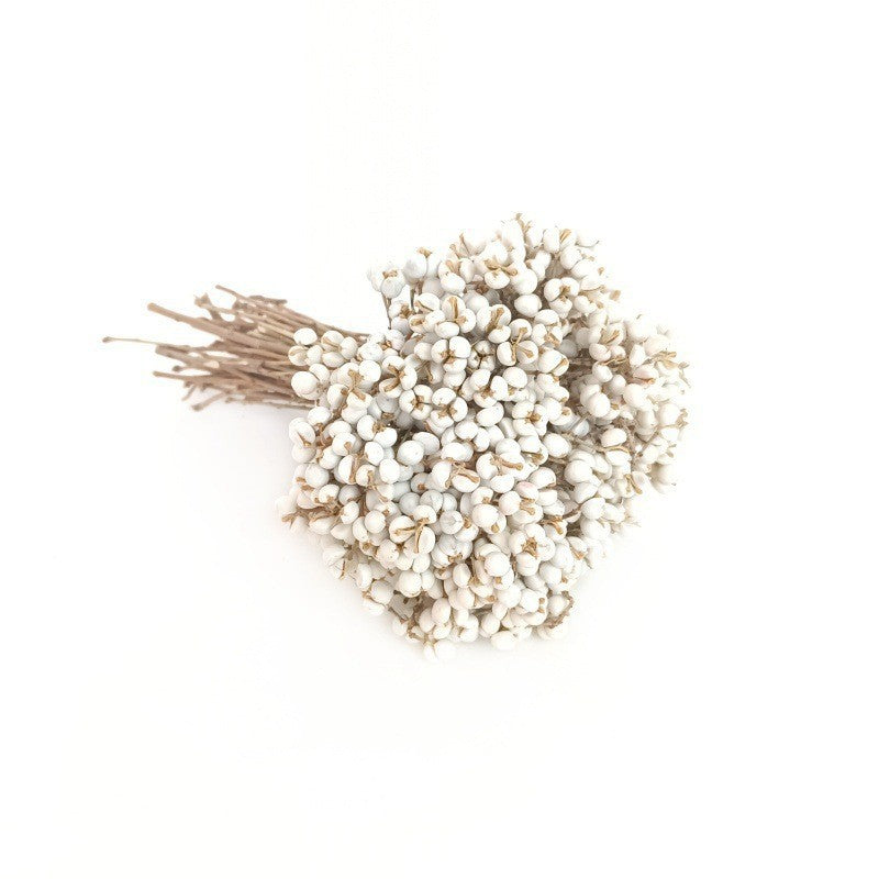 Small White Fruit Dried Flower Natural Dried Tree Branches Dried Flower Minimalist Nordic Style Fresh Flower Arrangement diy Handmade flowers