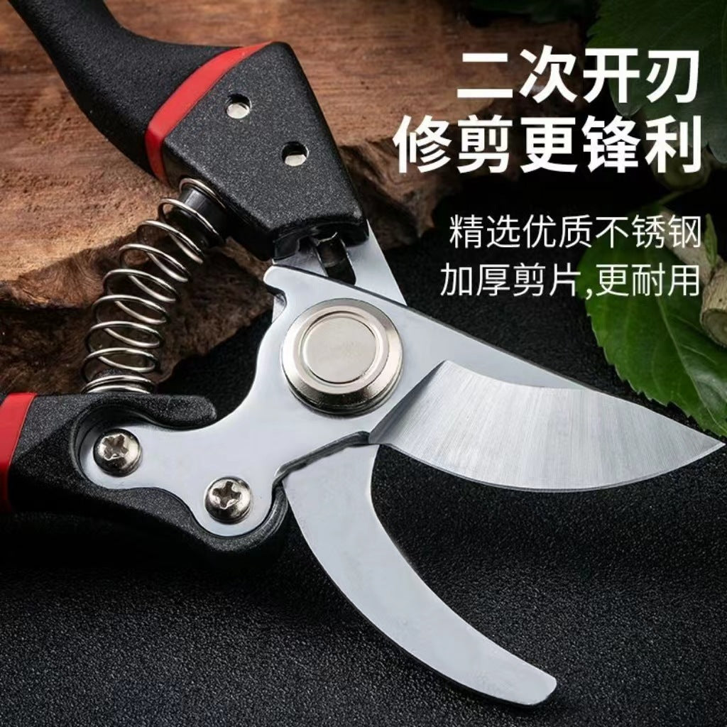 Home Fruit Tree Pruning Shears, Flower Pruning, Fruit Picking, Branch Shears, Greening Grafting, Pruning, Gardening Shears