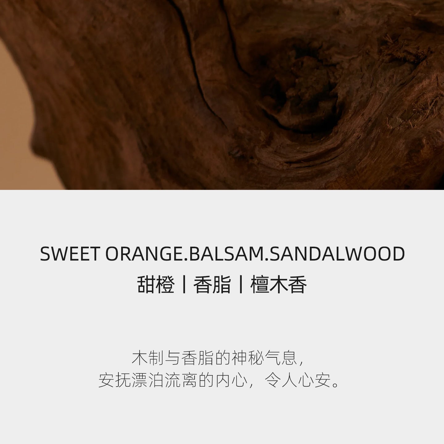 Earth Sandalwood Fragrance Shampoo High-end Hotel Disposable Bath Supplies Body Wash Household Easy-to-clean