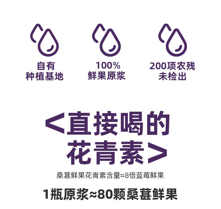 Western Region Meinong Mulberry Puree100ml*8bottle NFC Mulberry Juice100%Pure Freshly Squeezed Juice Beverage