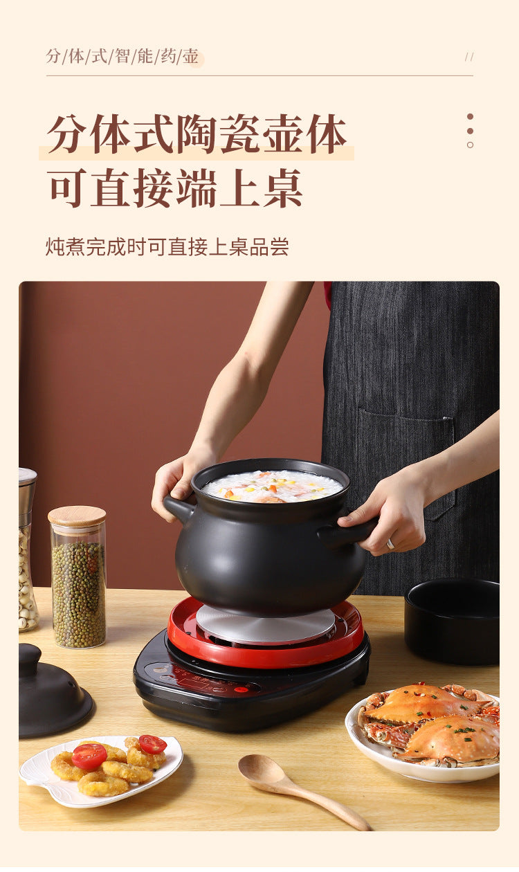 110V Large Capacity Decoction Pot Automatic Health Pot Ceramic Electric Clay Pot for Traditional Chinese Medicine Home Use