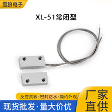 Snow Wolf Door and Window Magnetic Sensor Surface Mount Induction Detector Household Reed Switch Door Magnetic Alarm Normally Closed