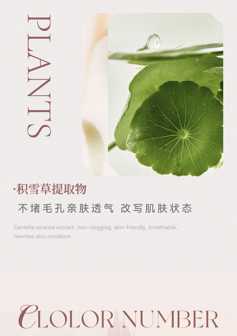 NOVO Soft Focus Iridescent Four-Color Setting Powder Oil Control Concealer Touch-Up Brightening Skin Tone Long-Lasting Waterproof Loose Powder6307