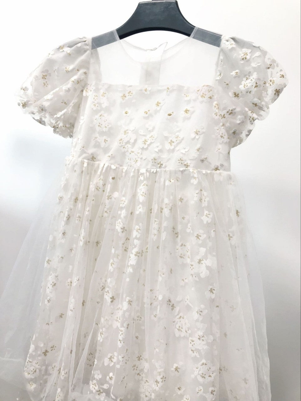 Little Girl Mesh Princess Dress