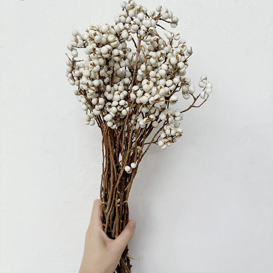 Small White Fruit Dried Flower Natural Dried Tree Branches Dried Flower Minimalist Nordic Style Fresh Flower Arrangement diy Handmade flowers