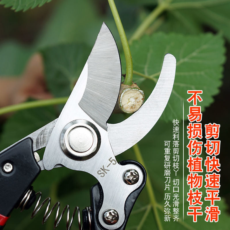 Home Fruit Tree Pruning Shears, Flower Pruning, Fruit Picking, Branch Shears, Greening Grafting, Pruning, Gardening Shears