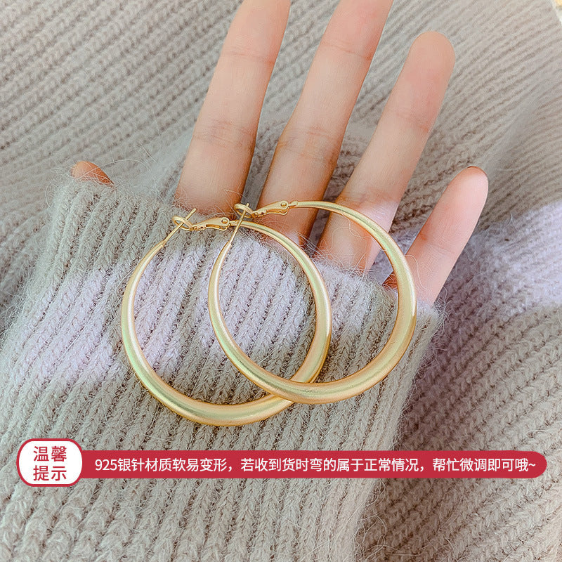 Silver Needle Metal Earrings High-end Simple Stud Earrings Fashion Versatile Light Luxury Unique Niche Earrings Yiwu Wholesale