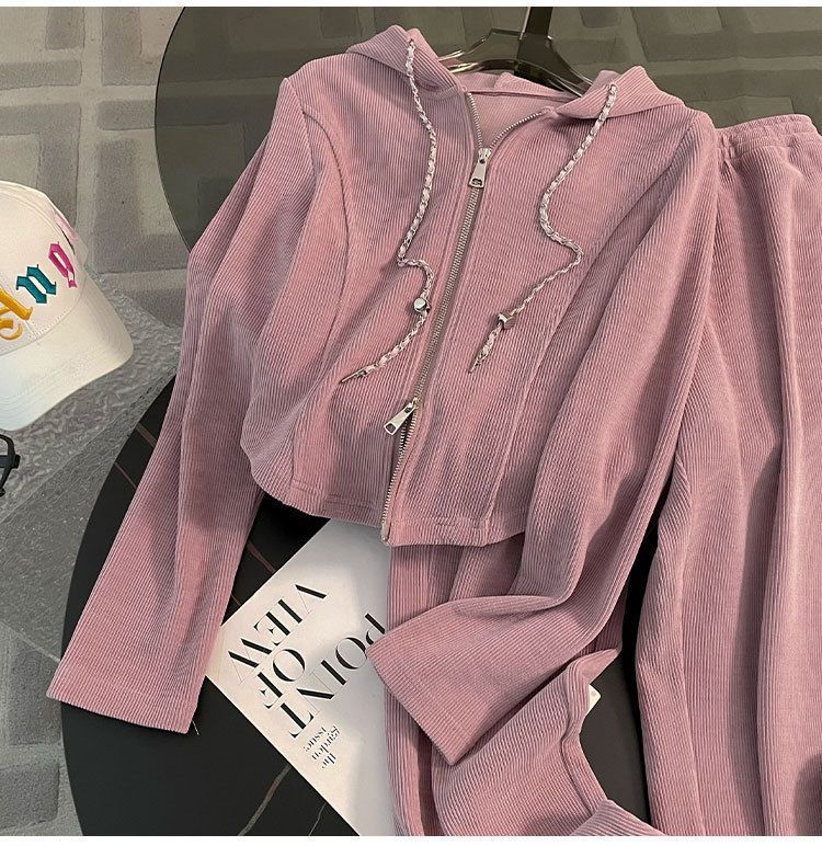 Casual Sports Suit for Women, Spring and Autumn New Loose Short Hooded Top with Draped Split Wide-Leg Pants Two-Piece Set