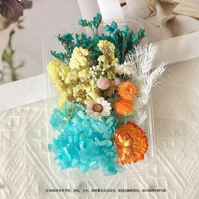 Dried Flowers Eternal Flowers Handmade Exquisite Material Kit Wreath Dried Flowers Trees Hydrangea Decoration Eternal Dried Flowers Material