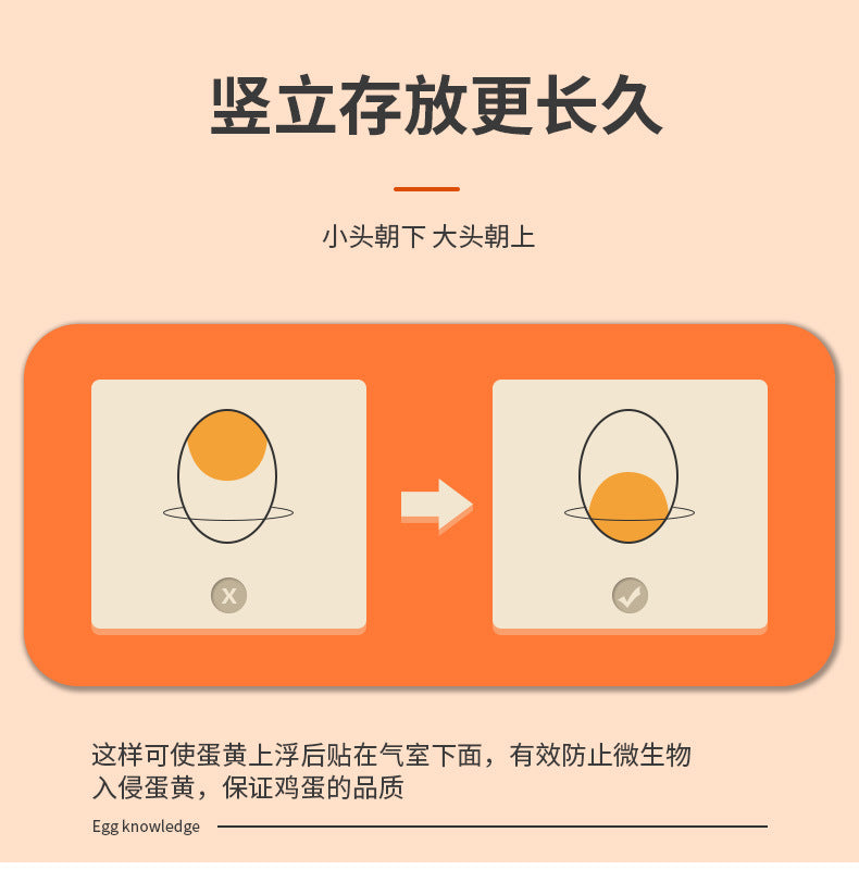 Ruge Transparent Double Layer Fresh-Keeping Box Kitchen household plastic sealed egg carton Drawer-style Refrigerator Storage Box
