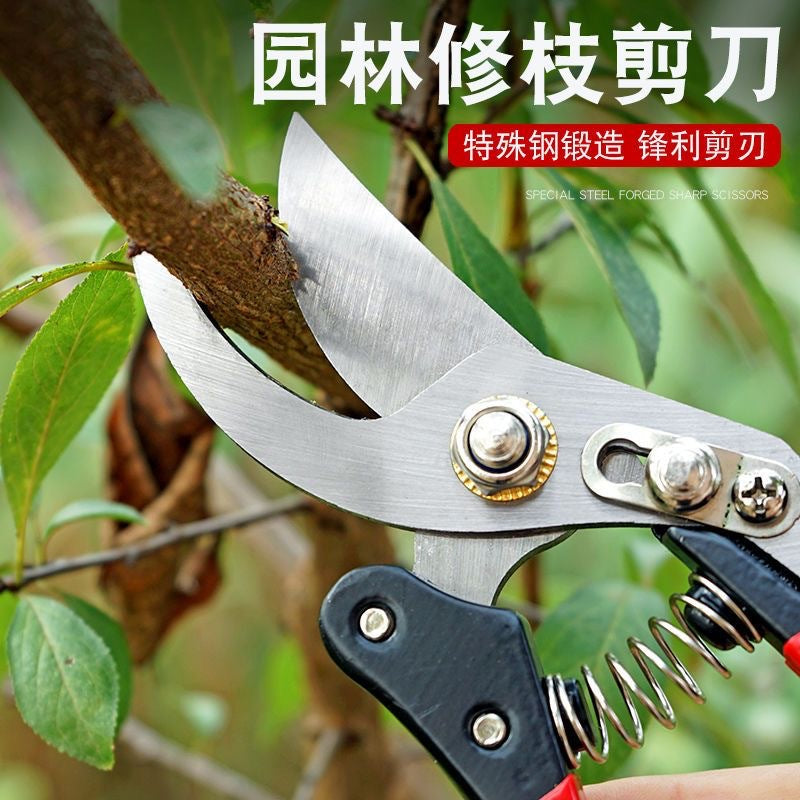 Home Fruit Tree Pruning Shears, Flower Pruning, Fruit Picking, Branch Shears, Greening Grafting, Pruning, Gardening Shears