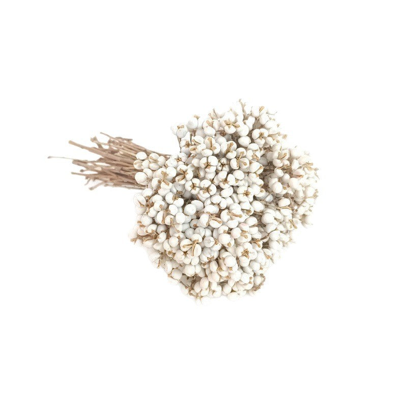Small White Fruit Dried Flower Natural Dried Tree Branches Dried Flower Minimalist Nordic Style Fresh Flower Arrangement diy Handmade flowers