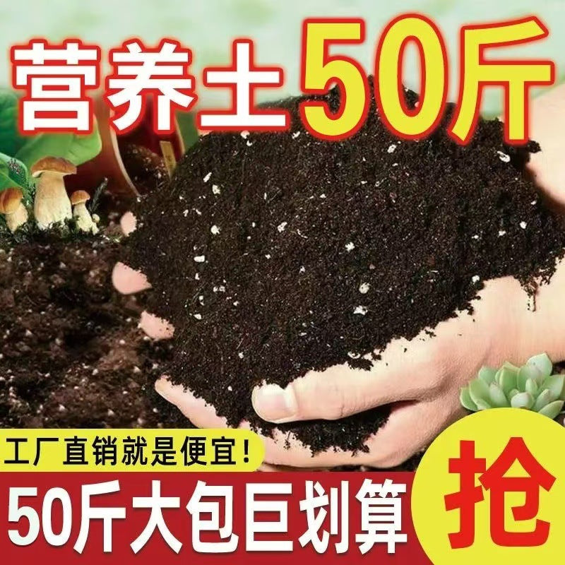 Nutrient Soil for Planting Flowers50Universal Succulent Nutrient Soil Garden Seedling Organic Breathable Loose Home Planting Flower Soil